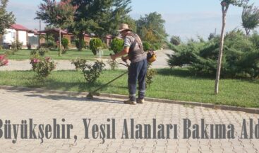 Büyükşehir, Yeşil Alanları Bakıma Aldı.