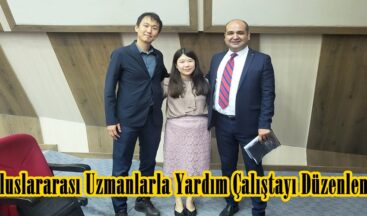 Uluslararası Uzmanlarla Yardım Çalıştayı Düzenlendi.