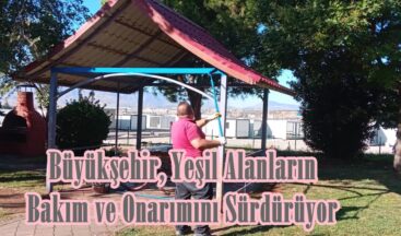 Büyükşehir, Yeşil Alanların Bakım ve Onarımını Sürdürüyor.