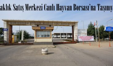 Adaklık Satış Merkezi Canlı Hayvan Borsası’na Taşınıyor.
