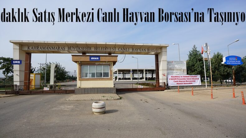 Adaklık Satış Merkezi Canlı Hayvan Borsası’na Taşınıyor.