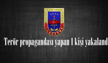 Terör propagandası yapan 1 kişi yakalandı.