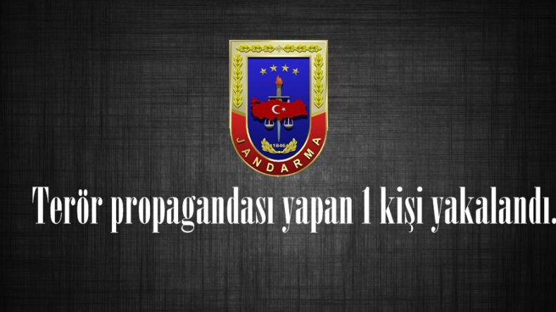 Terör propagandası yapan 1 kişi yakalandı.