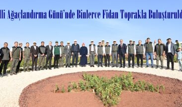 Milli Ağaçlandırma Günü’nde Binlerce Fidan Toprakla Buluşturuldu.