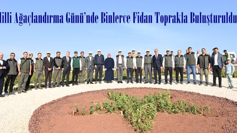 Milli Ağaçlandırma Günü’nde Binlerce Fidan Toprakla Buluşturuldu.