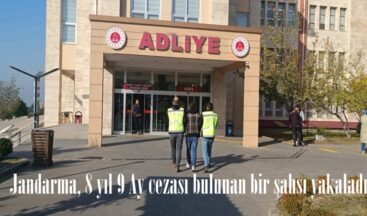 Jandarma, 8 yıl 9 Ay cezası bulunan bir şahsı yakaladı.