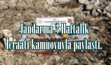 Jandarma 3 Haftalık İcraatı kamuoyuyla paylaştı.