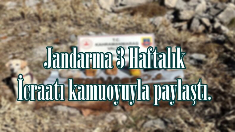Jandarma 3 Haftalık İcraatı kamuoyuyla paylaştı.