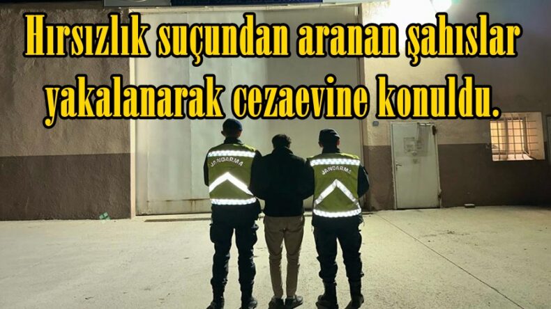 Hırsızlık suçundan aranan şahıslar yakalanarak cezaevine konuldu.