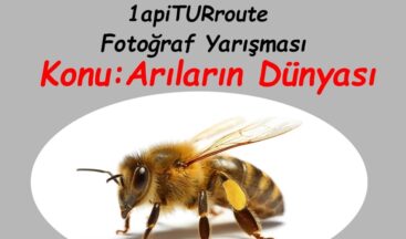 “Arıların Dünyası” konulu 1. Ulusal apiTURroute Fotoğraf Yarışması Şartnamesi ve Ödüller belli oldu.