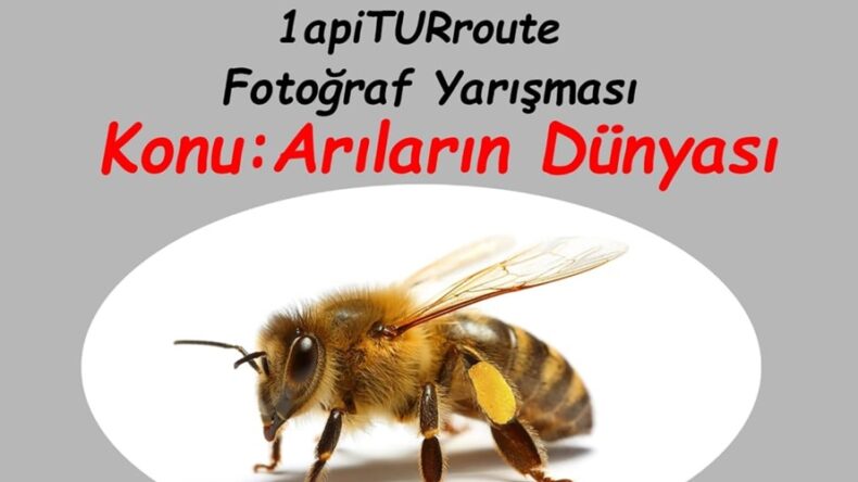 “Arıların Dünyası” konulu 1. Ulusal apiTURroute Fotoğraf Yarışması Şartnamesi ve Ödüller belli oldu.