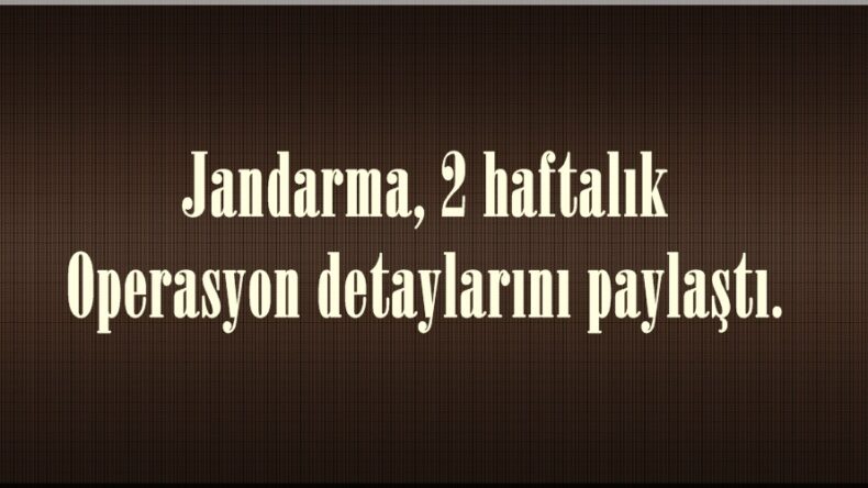 Jandarma, 2 haftalık Operasyon detaylarını paylaştı.