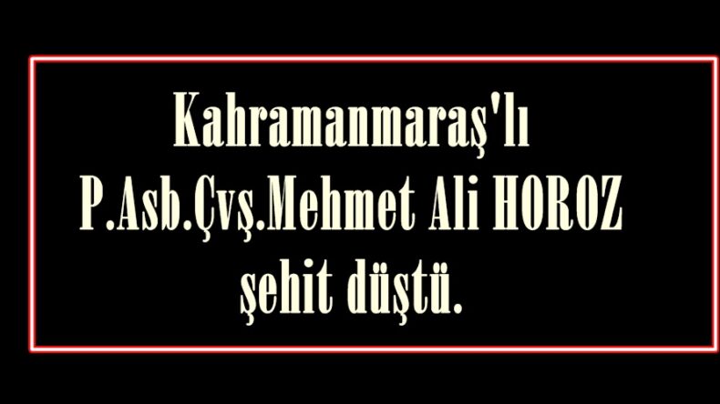 Kahramanmaraş’lı P.Asb.Çvş.Mehmet Ali HOROZ şehit düştü.