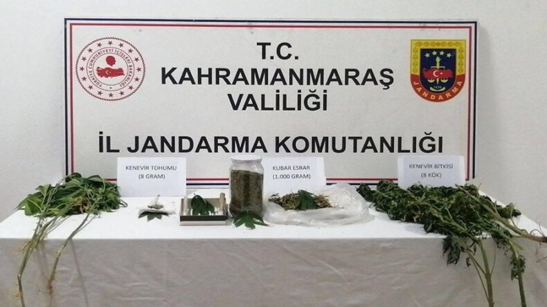 Jandarma’dan Kenevir Operasyonu.