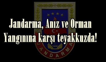 Jandarma, Anız ve Orman Yangınına karşı teyakkuzda!