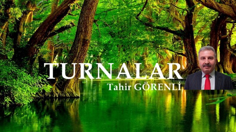 TURNALAR