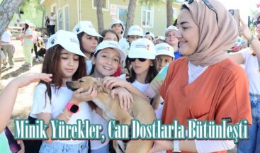 Minik Yürekler, Can Dostlarla Bütünleşti.
