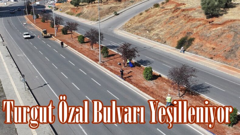 Turgut Özal Bulvarı Yeşilleniyor.