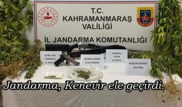 Jandarma, Kenevir ele geçirdi.