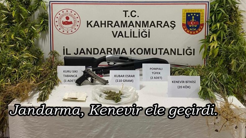 Jandarma, Kenevir ele geçirdi.
