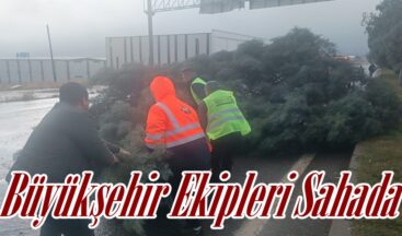 Büyükşehir Ekipleri Sahada.