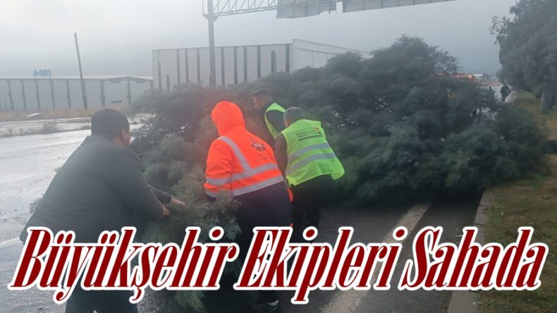 Büyükşehir Ekipleri Sahada.