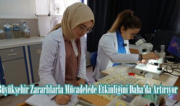 Büyükşehir Zararlılarla Mücadelede Etkinliğini Daha da Artırıyor.
