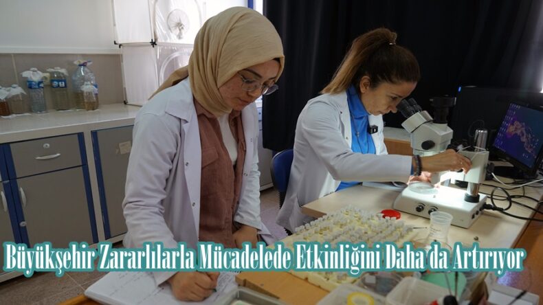 Büyükşehir Zararlılarla Mücadelede Etkinliğini Daha da Artırıyor.