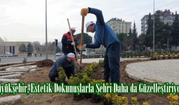 Büyükşehir, Estetik Dokunuşlarla Şehri Daha da Güzelleştiriyor.