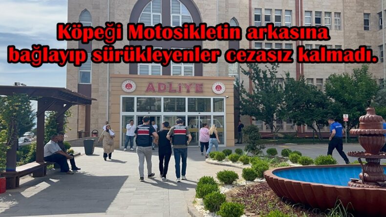 Köpeği Motosikletin arkasına bağlayıp sürükleyenler cezasız kalmadı.
