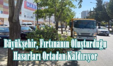 Büyükşehir, Fırtınanın Oluşturduğu Hasarları Ortadan Kaldırıyor.