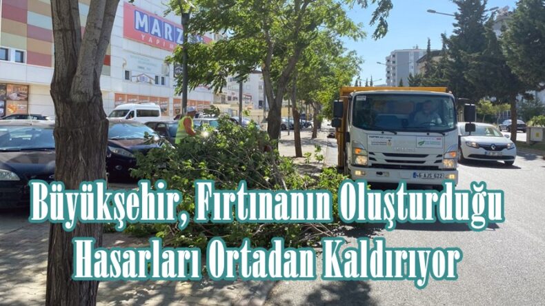 Büyükşehir, Fırtınanın Oluşturduğu Hasarları Ortadan Kaldırıyor.