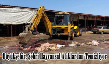 Büyükşehir, Şehri Hayvansal Atıklardan Temizliyor.