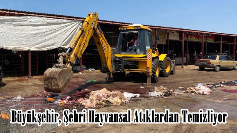 Büyükşehir, Şehri Hayvansal Atıklardan Temizliyor.