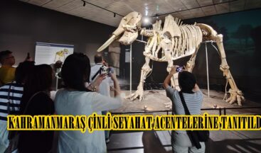 KAHRAMANMARAŞ ÇİNLİ SEYAHAT ACENTELERİNE TANITILDI.