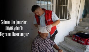 Şehrin Ulu Çınarları Büyükşehir’le Bayrama Hazırlanıyor.