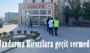 Jandarma Hırsızlara geçit vermedi.