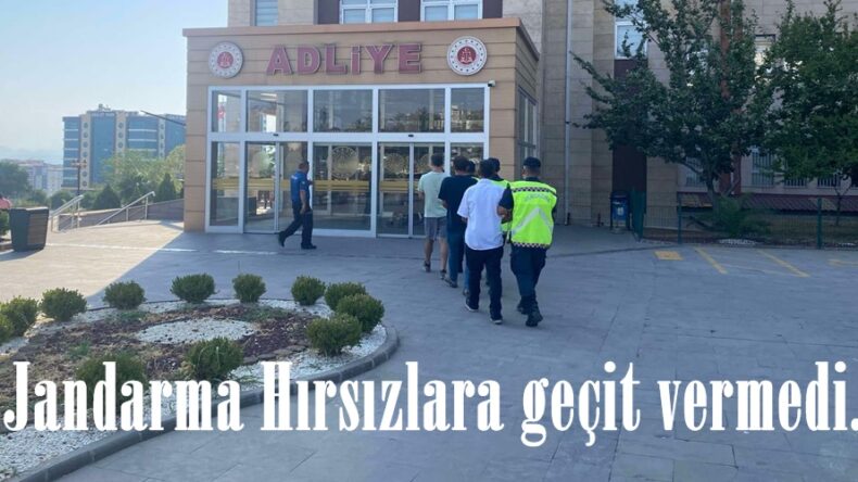 Jandarma Hırsızlara geçit vermedi.