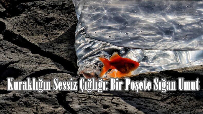 Kuraklığın Sessiz Çığlığı: Bir Poşete Sığan Umut