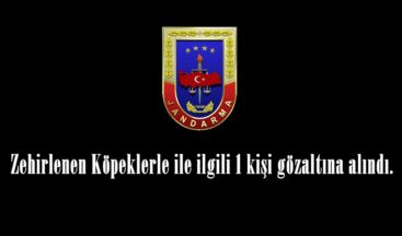 Zehirlenen Köpeklerle ile ilgili 1 kişi gözaltına alındı.