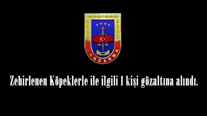 Zehirlenen Köpeklerle ile ilgili 1 kişi gözaltına alındı.