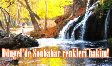 Döngel’de Sonbahar renkleri hakim!