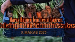 Maraş Havucu İçin Tescil Çağrısı: Dulkadiroğlu’nda Ata Tohumundan Gelen Lezzet!