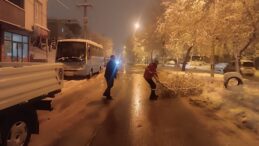 Yoğun Kar Yağışıyla Kırılan Ağaç Dallarına Hızlı Müdahale.