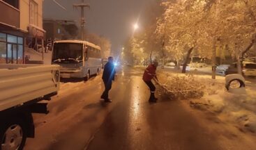 Yoğun Kar Yağışıyla Kırılan Ağaç Dallarına Hızlı Müdahale.