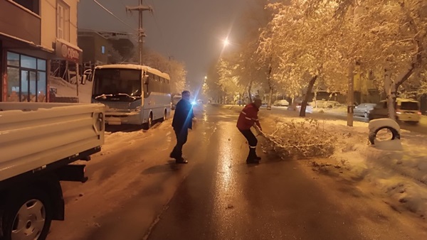 Yoğun Kar Yağışıyla Kırılan Ağaç Dallarına Hızlı Müdahale.