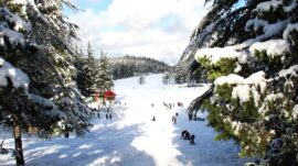 Başkonuş Yaylası kışın daha harika!