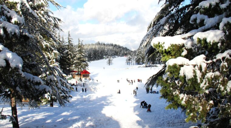 Başkonuş Yaylası kışın daha harika!