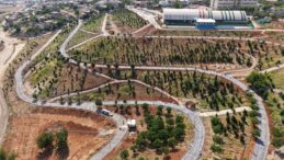Büyükşehir’in ‘Yeşil Dönüşüm’ Hamlesi Karbon Yutak Alanı’nda Çalışmalar Sürüyor.