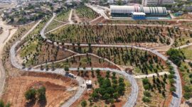 Büyükşehir’in ‘Yeşil Dönüşüm’ Hamlesi Karbon Yutak Alanı’nda Çalışmalar Sürüyor.